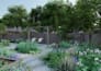do backyard landscape design, garden, pool, as a landscape architect